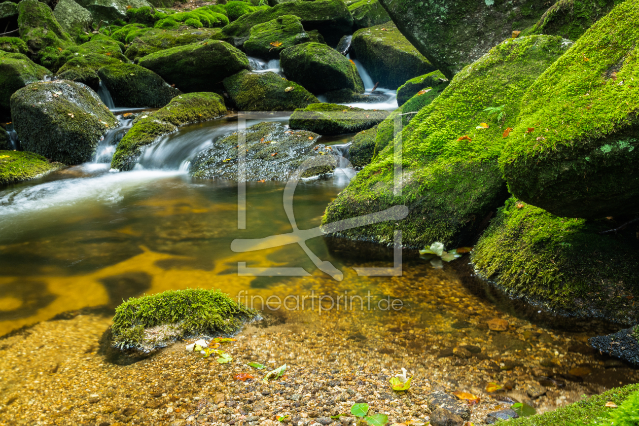 Bild-Nr.: 11913128 Wildbach erstellt von luxpediation