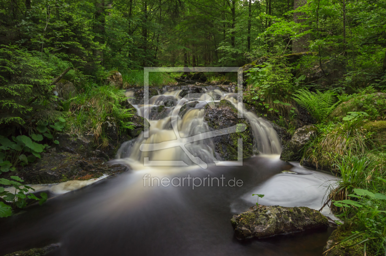 Bild-Nr.: 11913526 Wasserfall im Harz 2 Bild-Nr.: 11913526 Wasserfall im Harz 2 erstellt von Steffen Gierok