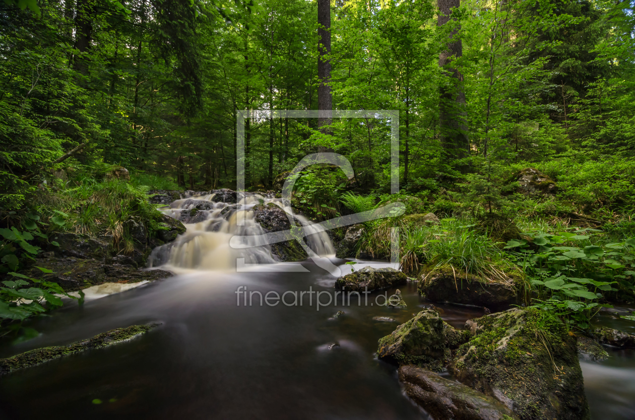 Bild-Nr.: 11913527 Wasserfall im Harz erstellt von Steffen Gierok