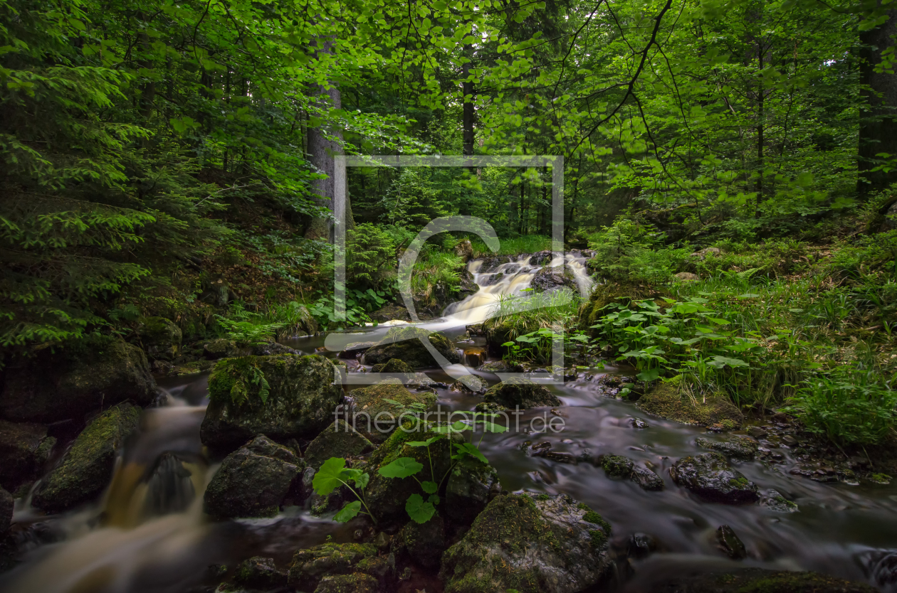 Bild-Nr.: 11913528 Wasserfall im Harz 3 erstellt von Steffen Gierok
