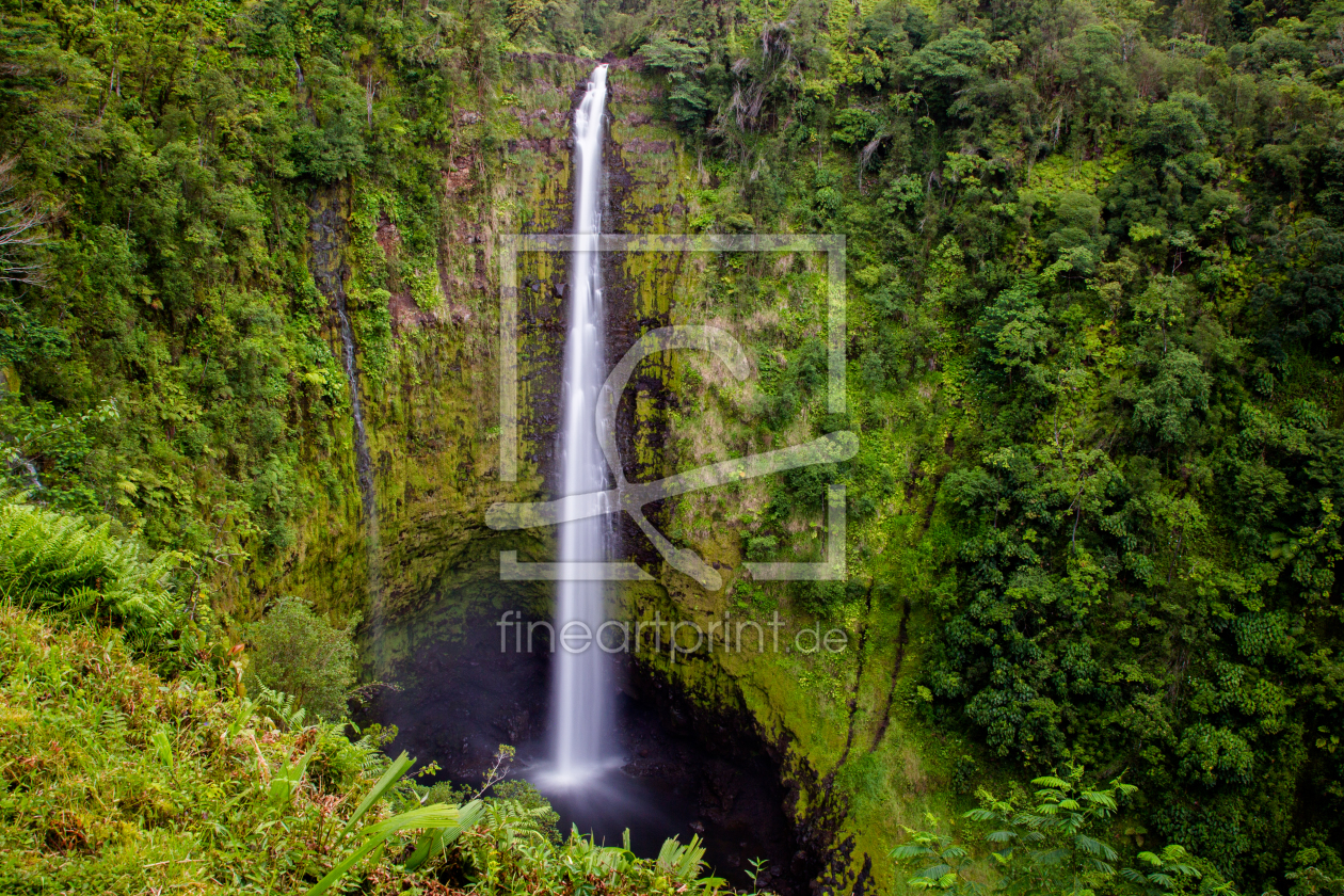 Bild-Nr.: 11913670 Akaka Falls auf Hawaii erstellt von DirkR