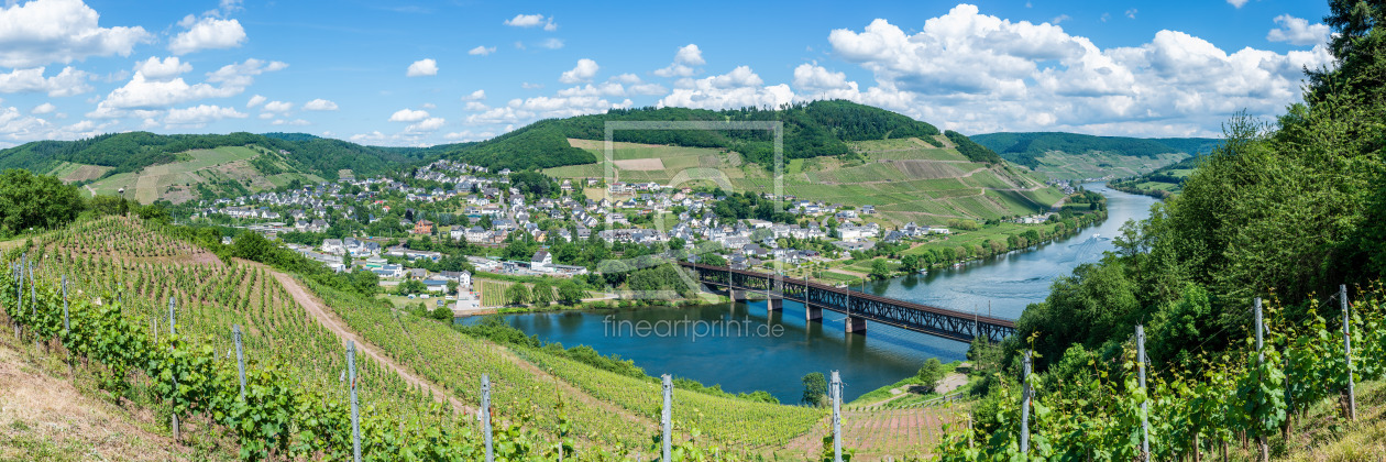 Bild-Nr.: 11913688 Mosel bei Bullay -13- erstellt von Erhard Hess