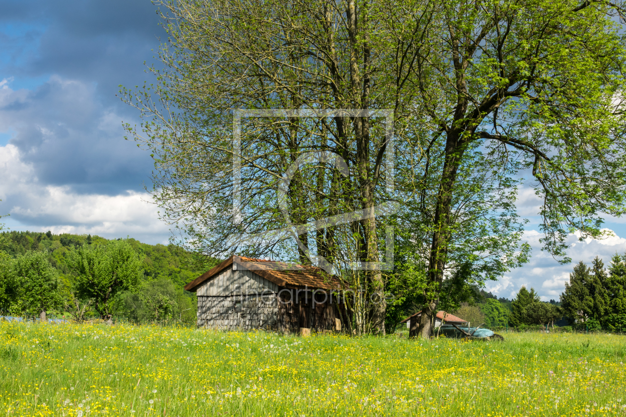 Bild-Nr.: 11913841 Frühling erstellt von weh-zet