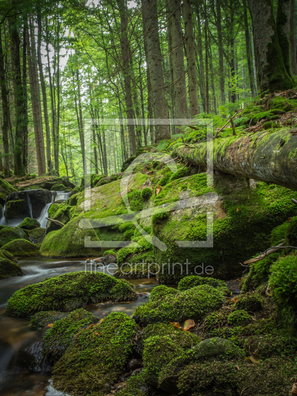 Bild-Nr.: 11914181 Wald und Wasser Idylle bei Grafenau erstellt von luxpediation