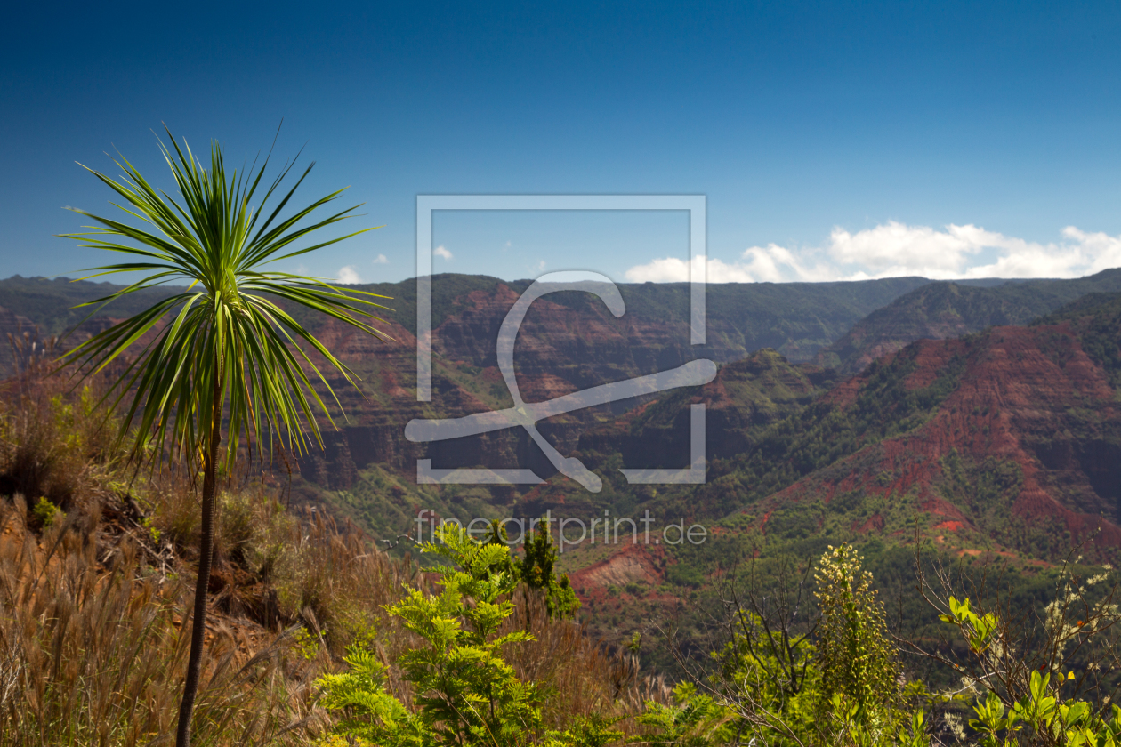 Bild-Nr.: 11914492 Waimea Canyon auf Kauai erstellt von DirkR