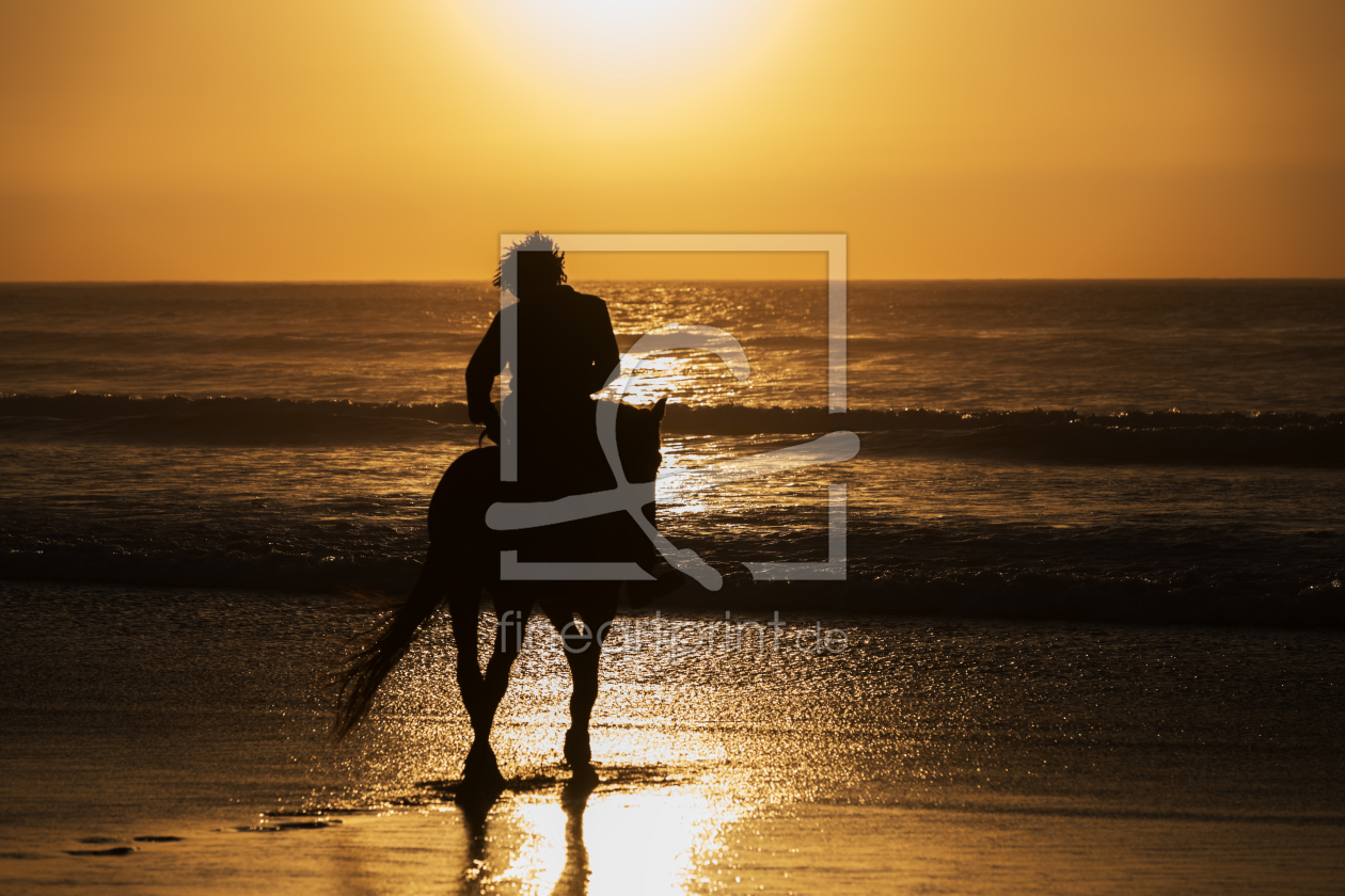 Bild-Nr.: 11914560 Reiter am Strand während Sonnenuntergang. erstellt von sarosa