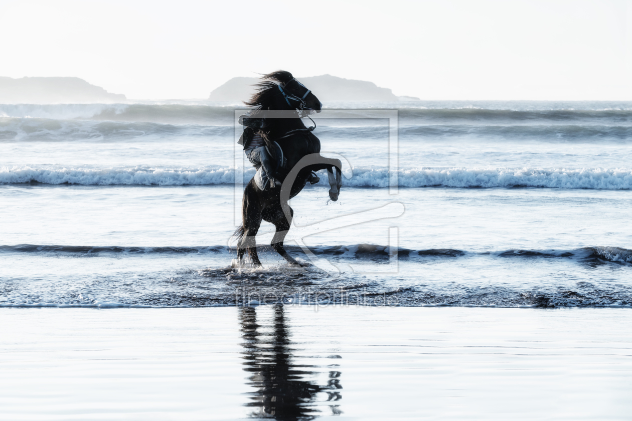 Bild-Nr.: 11914562 Reiter am Strand. erstellt von sarosa