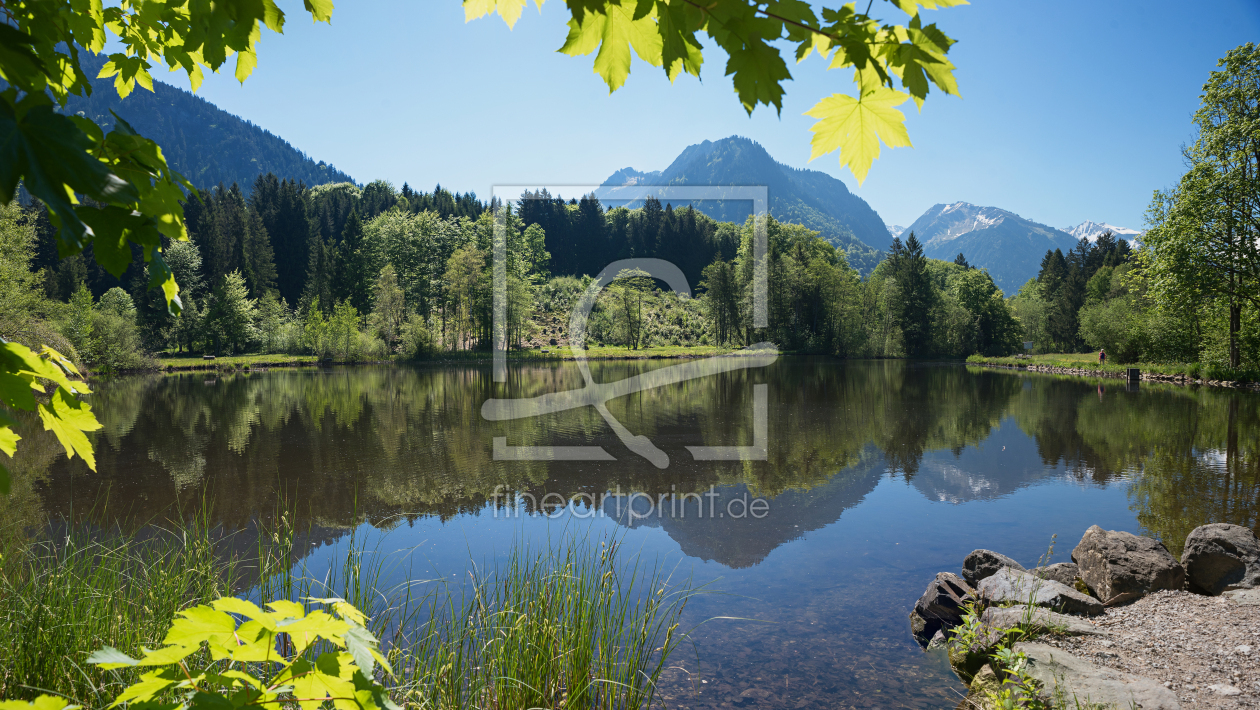 Bild-Nr.: 11914982 Moorsee mit Spiegelung erstellt von SusaZoom