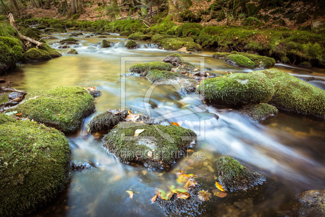 Bild-Nr.: 11914996 Herbst-Fluss erstellt von luxpediation