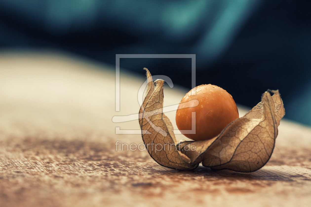 Bild-Nr.: 11915095 Physalis Bild-Nr.: 11915095 Physalis erstellt von KundenNr-333185