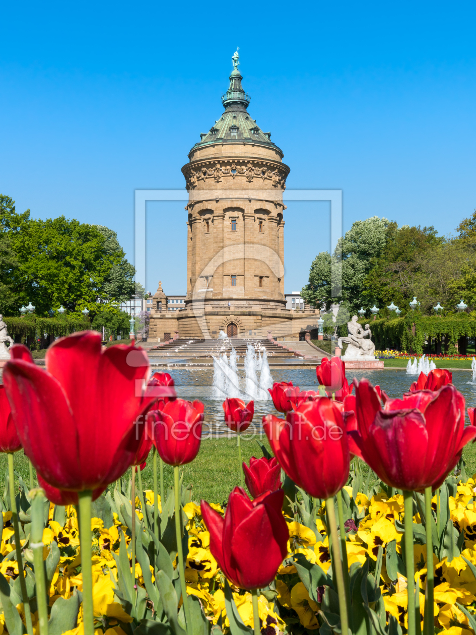 Bild-Nr.: 11915441 Mannheimer Wasserturm mit roten Tulpen im Frühling erstellt von eyetronic