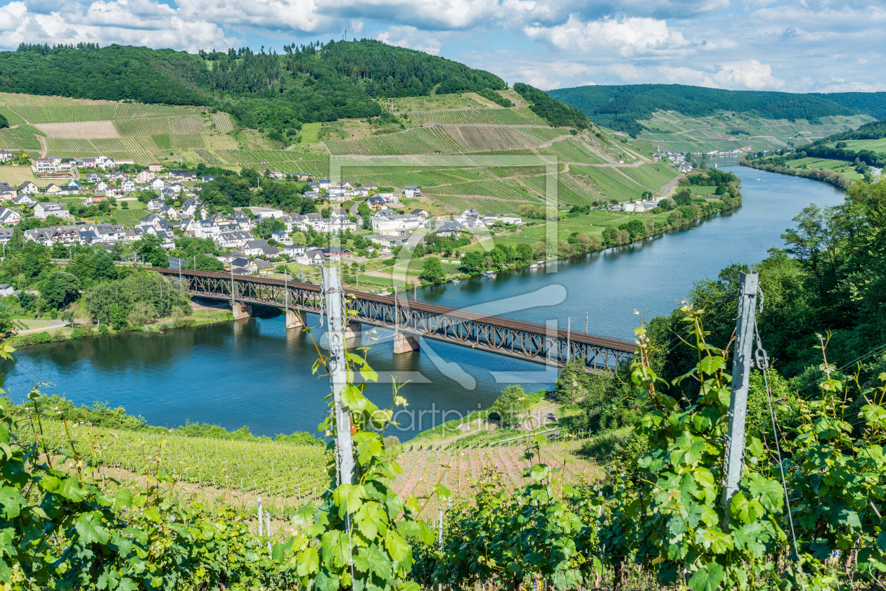 Bild-Nr.: 11916805 Mosel bei Bullay 84 erstellt von Erhard Hess