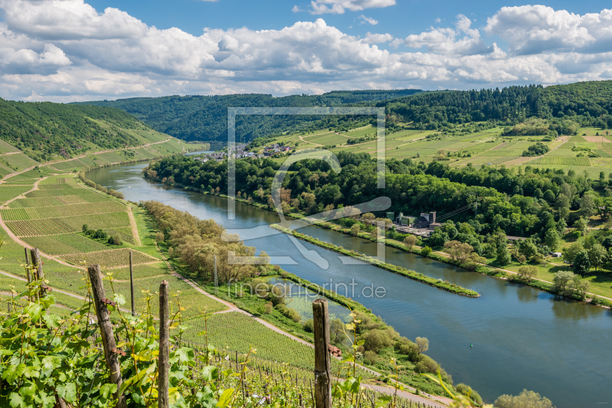 Bild-Nr.: 11917028 Mosel bei Pünderich 98 erstellt von Erhard Hess