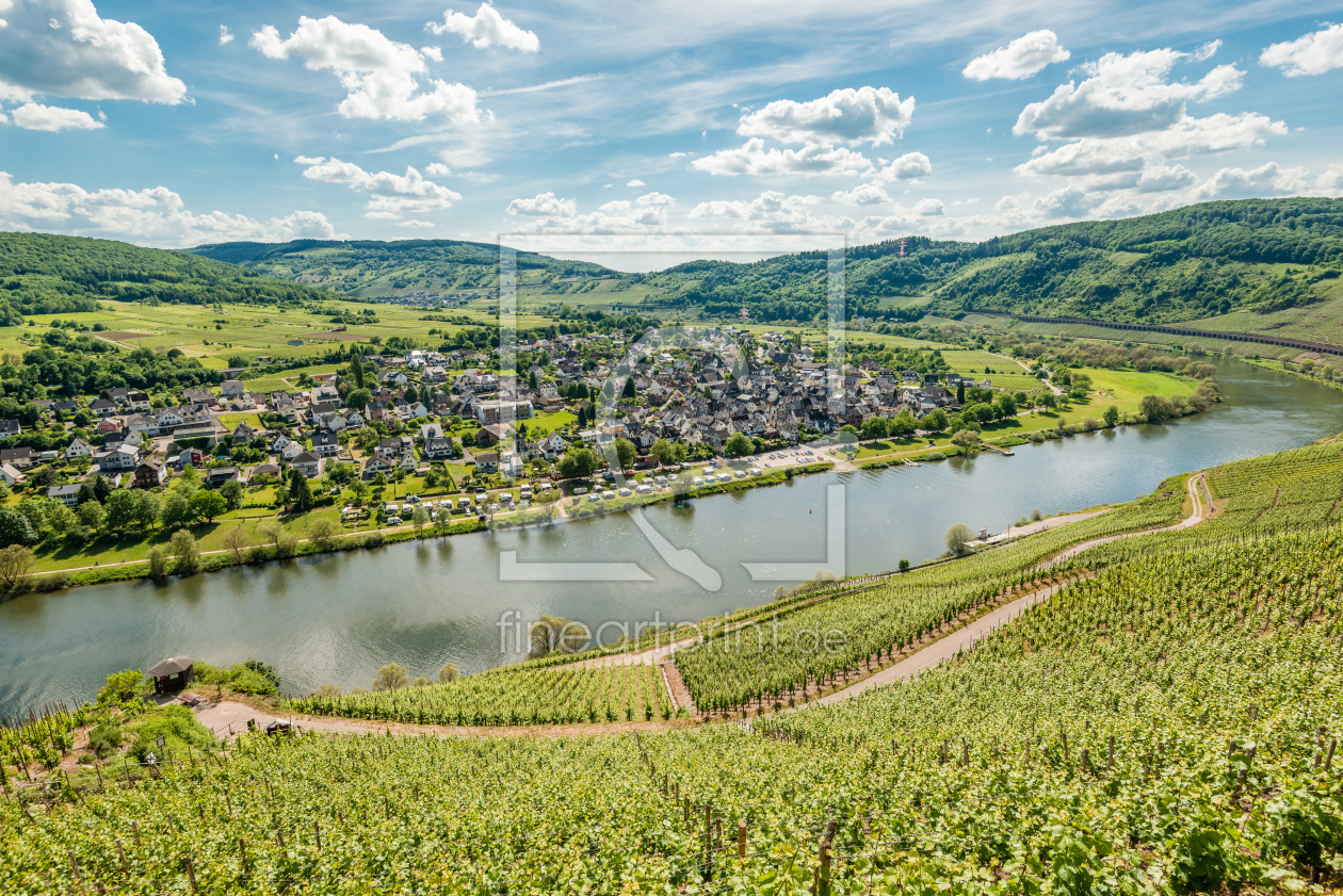 Bild-Nr.: 11917048 Mosel bei Pünderich 01 erstellt von Erhard Hess