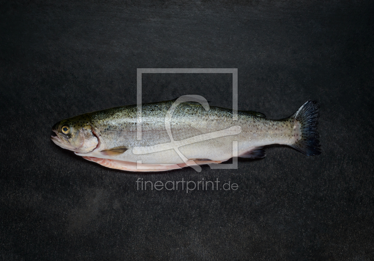 Bild-Nr.: 11917193 Roher Fisch Forelle erstellt von xfotostudio