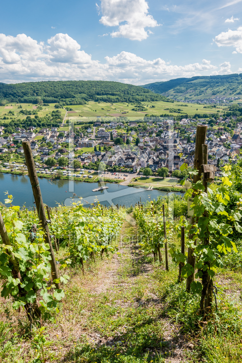 Bild-Nr.: 11917283 Mosel bei Pünderich 03 erstellt von Erhard Hess