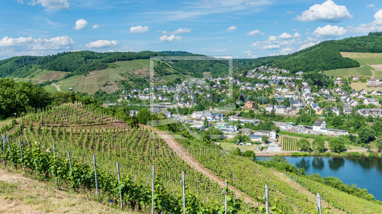 Bild-Nr.: 11917288 Mosel bei Bullay 51 erstellt von Erhard Hess