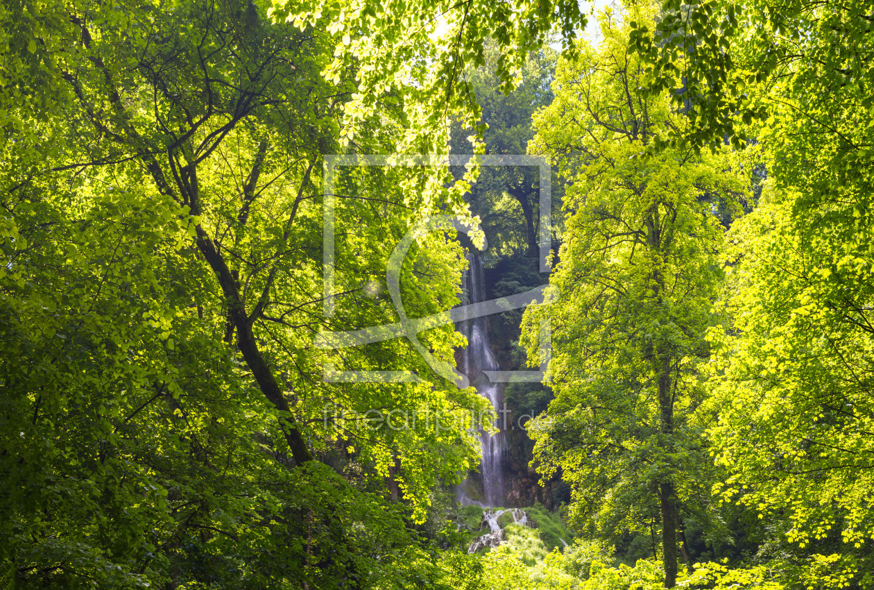 Bild-Nr.: 11917403 Uracher Wasserfall erstellt von Walter G. Allgöwer