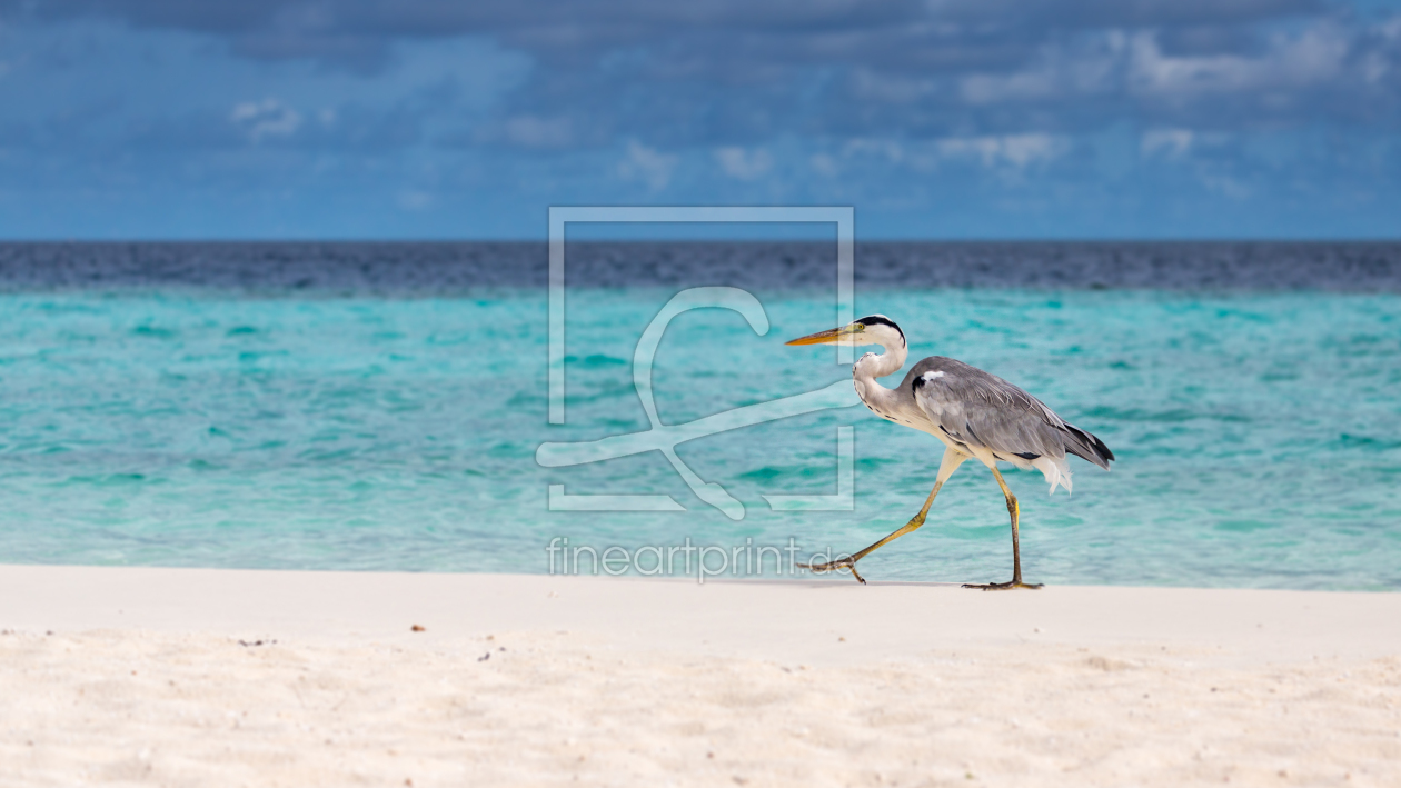 Bild-Nr.: 11917420 Beach Walk erstellt von marasmus