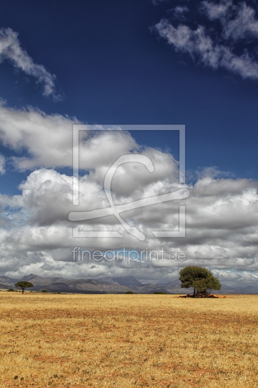 Bild-Nr.: 11918524 Landschaft in der Halbwüste Karoo in Südafrika erstellt von DirkR