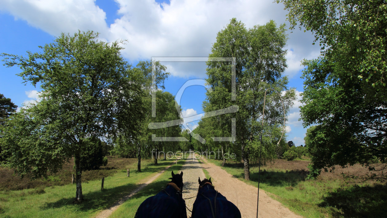 Bild-Nr.: 11918882 Mit der Kutsche durch die Lünburger Heide erstellt von Maxbenno