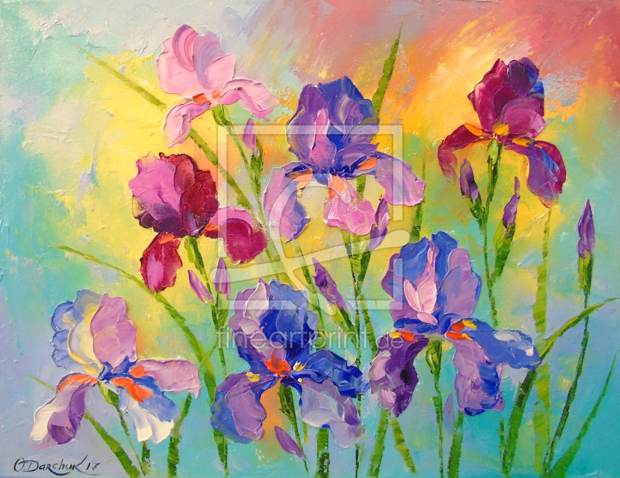 Bild-Nr.: 11919552 Irises Bild-Nr.: 11919552 Irises erstellt von olha darchuk