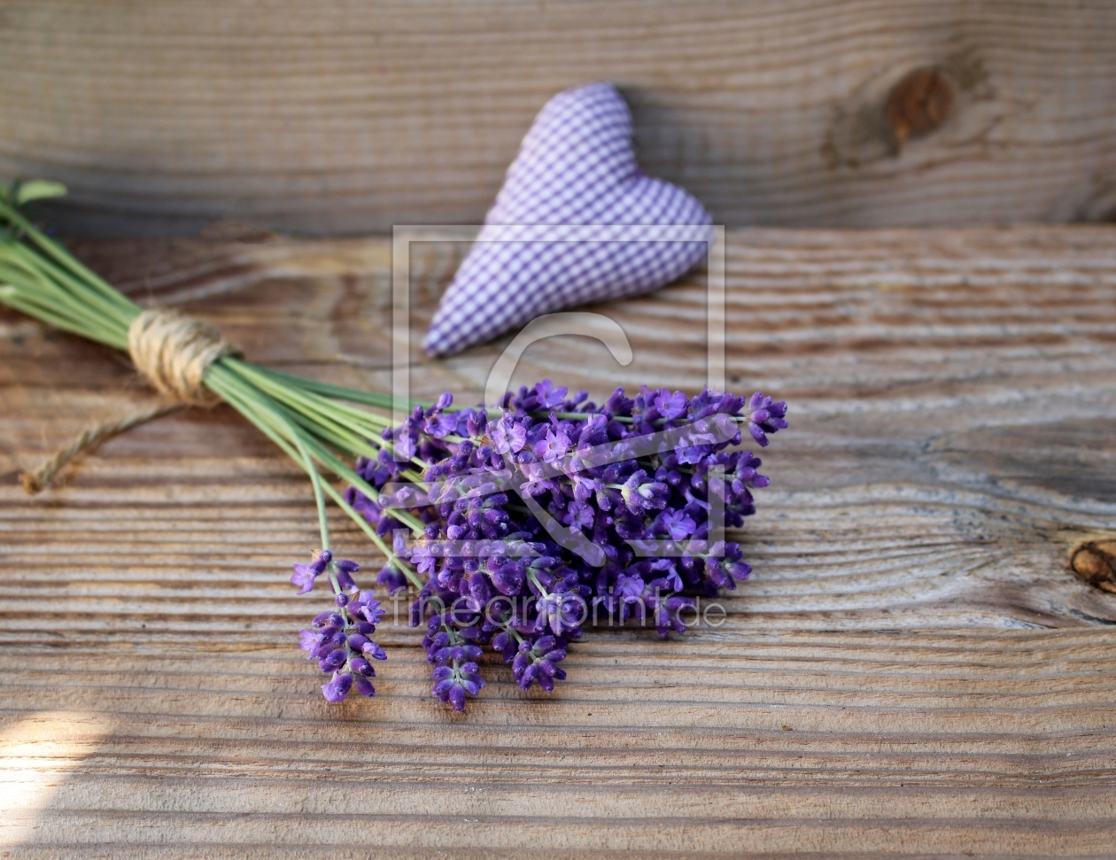 Bild-Nr.: 11920025 Lavendel Bild-Nr.: 11920025 Lavendel erstellt von ninami