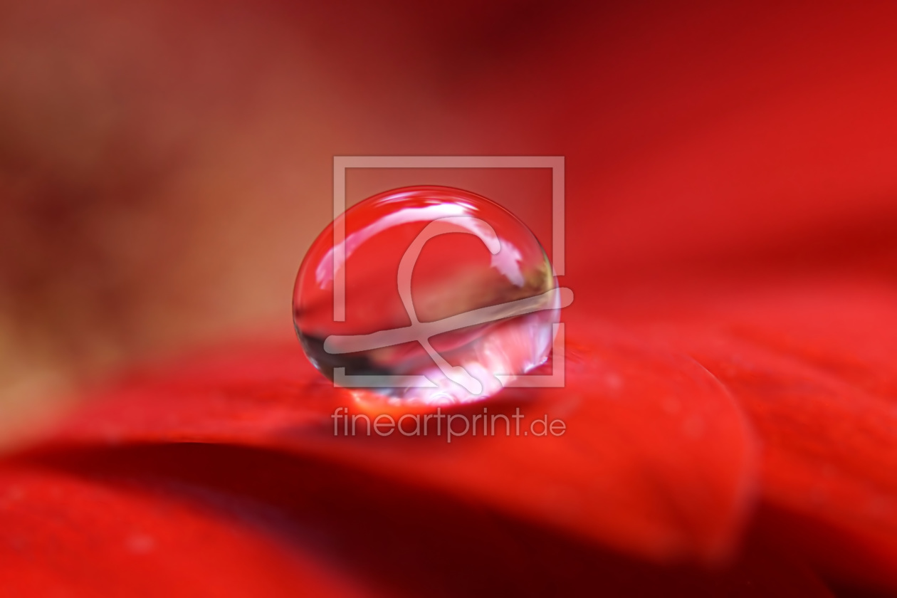Bild-Nr.: 11920689 Globe Bild-Nr.: 11920689 Globe erstellt von youhaveadream