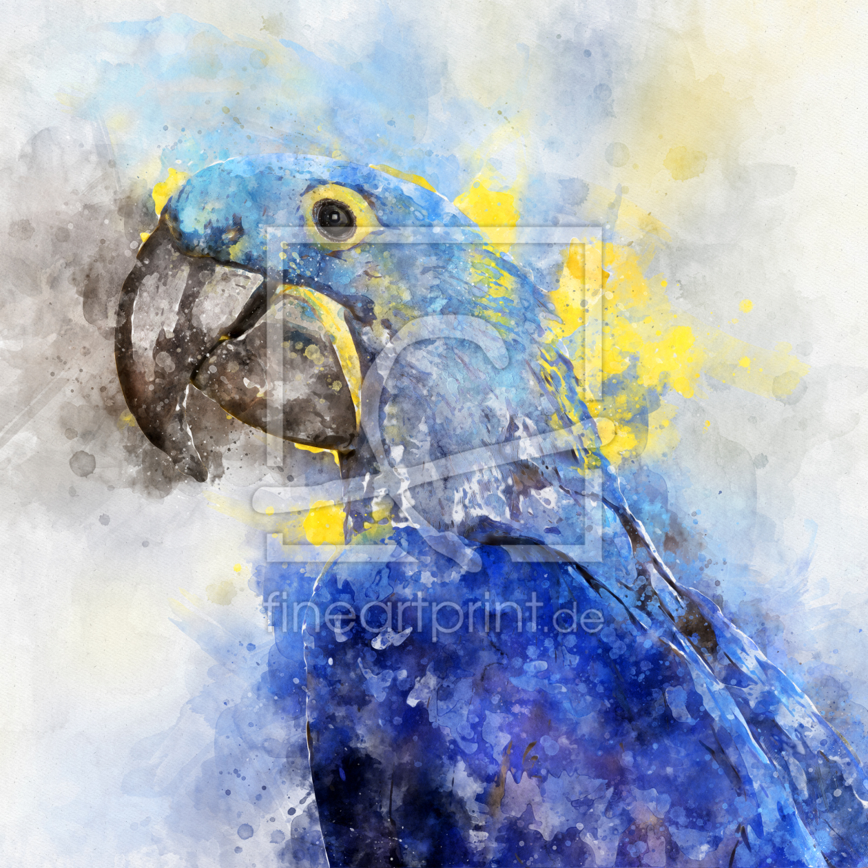 Bild-Nr.: 11920782 Hyazinthara aquarell Bild-Nr.: 11920782 Hyazinthara aquarell erstellt von MirasPictures