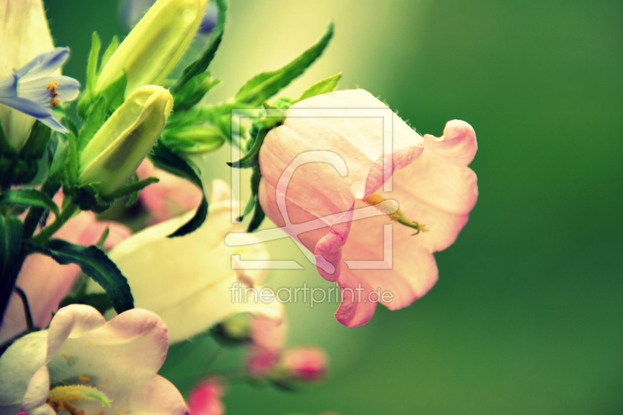 Bild-Nr.: 11920826 lovely Bild-Nr.: 11920826 lovely erstellt von GUGIGEI