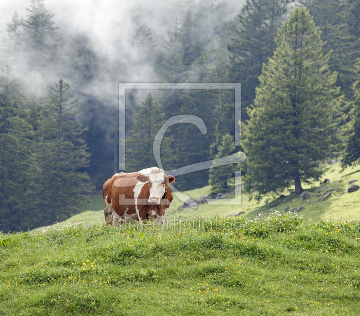 Bild-Nr.: 11920978 Guten Morgen Bild-Nr.: 11920978 Guten Morgen erstellt von wompus