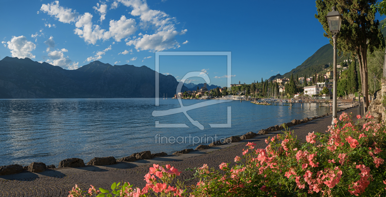 Bild-Nr.: 11922969 Seepromenade Malcesine erstellt von SusaZoom