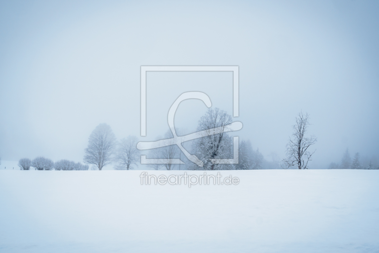 Bild-Nr.: 11924314 Winterbäume erstellt von landfotograf