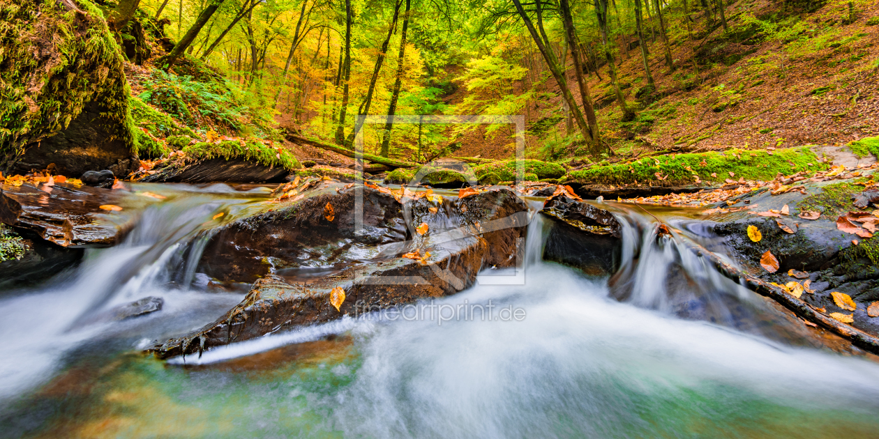 Bild-Nr.: 11924413 Herbst erstellt von Richard-Young