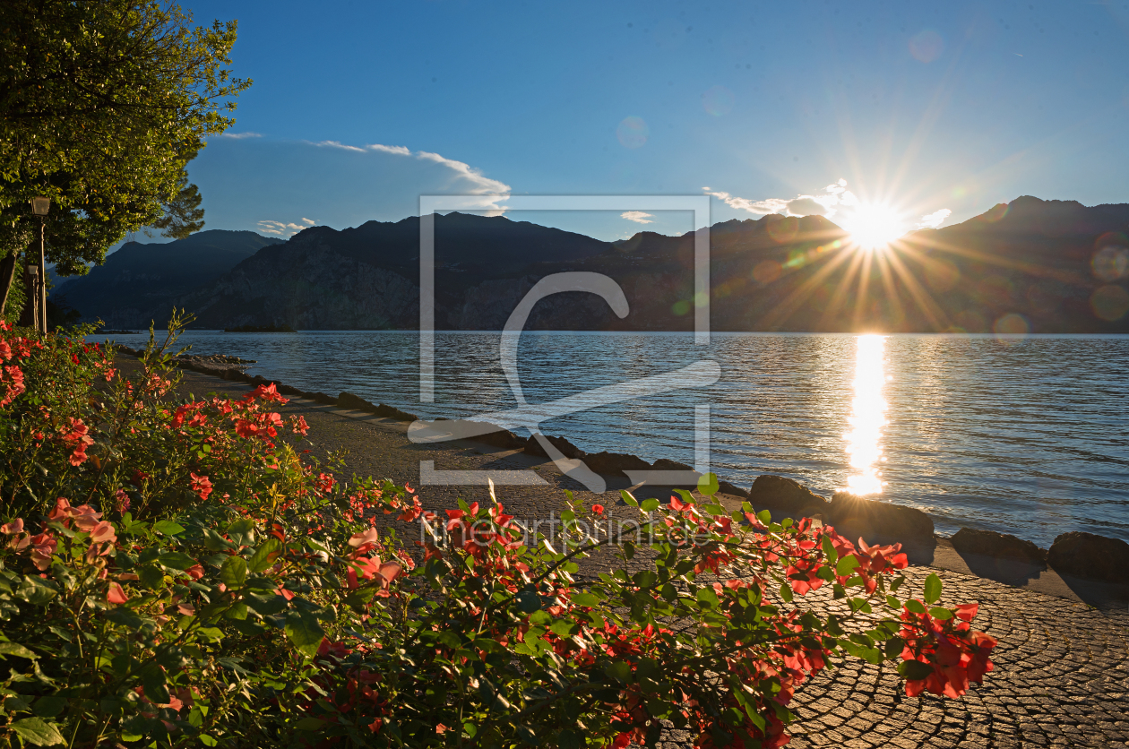 Bild-Nr.: 11925346 Sommerabend am Lago erstellt von SusaZoom