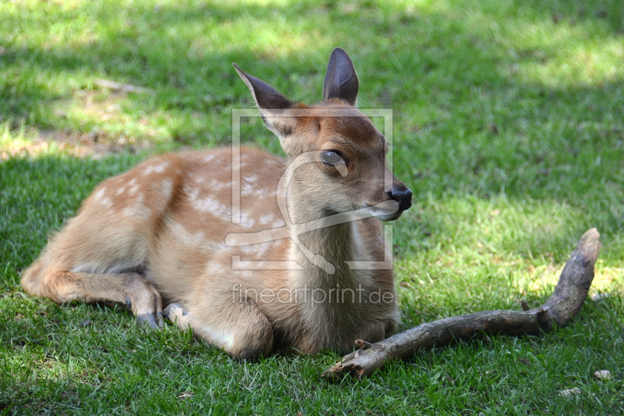 Bild-Nr.: 11925894 Bambi erstellt von GUGIGEI