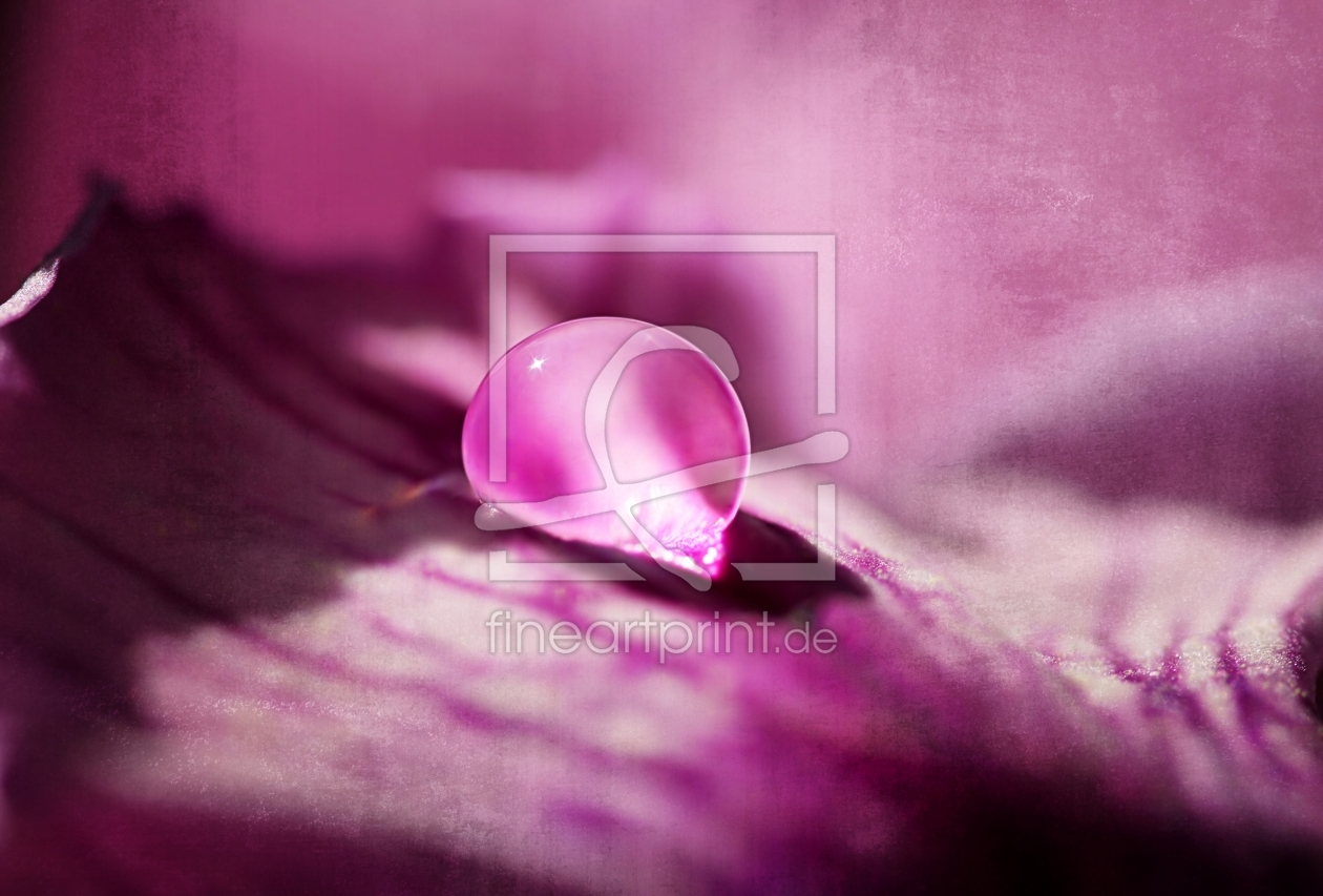 Bild-Nr.: 11926524 Pink pearl Bild-Nr.: 11926524 Pink pearl erstellt von youhaveadream