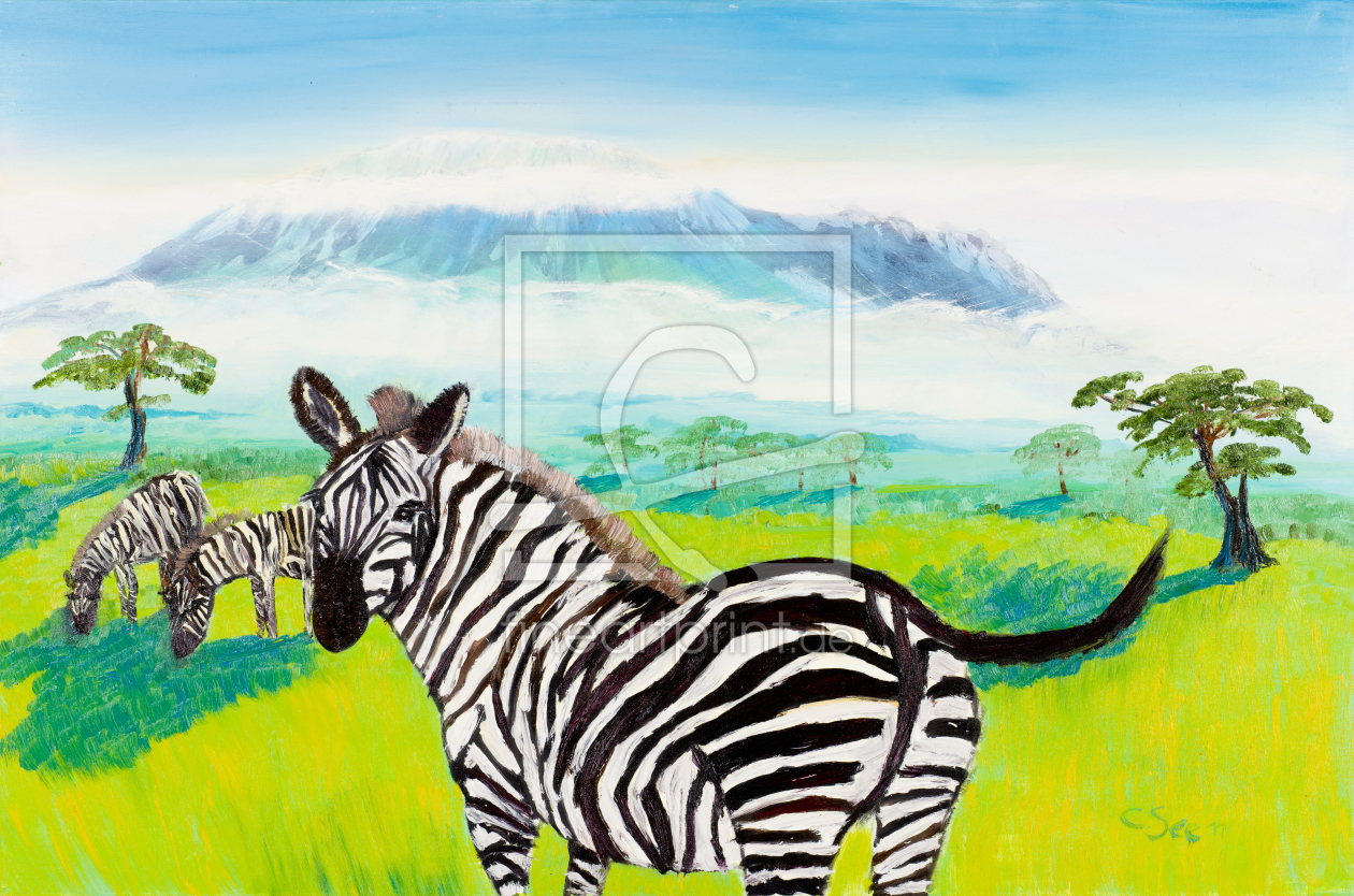 Bild-Nr.: 11926878 Zebras vor dem Kilimandscharo erstellt von Seebauers-World