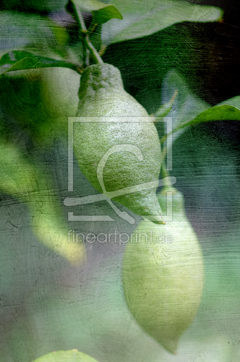 Bild-Nr.: 11927013 lemons Bild-Nr.: 11927013 lemons erstellt von Eschbach, Rolf