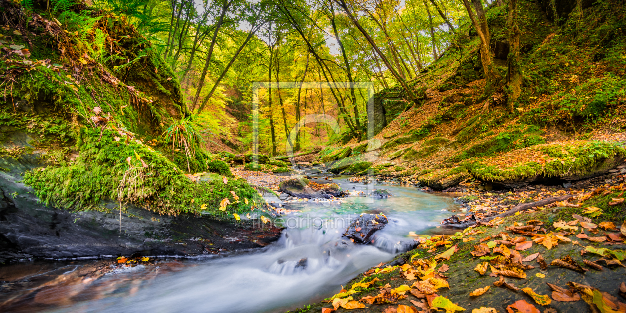 Bild-Nr.: 11927038 Herbst erstellt von Richard-Young