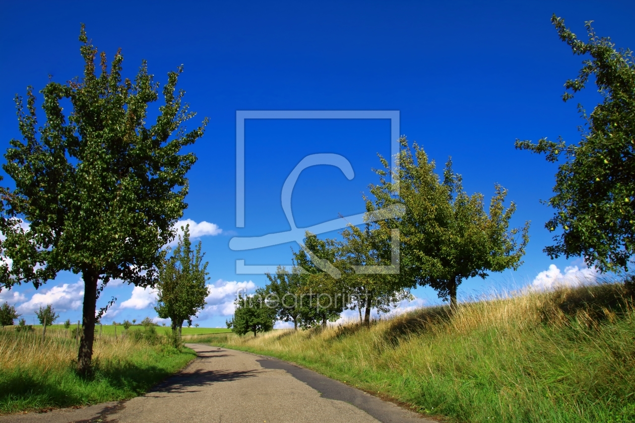 Bild-Nr.: 11927123 beautiful day Bild-Nr.: 11927123 beautiful day erstellt von Amazone54