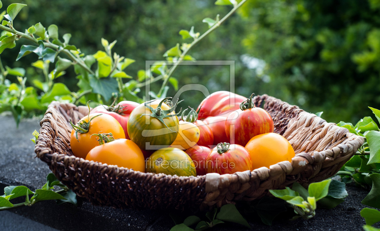 Bild-Nr.: 11927172 Biotomaten erstellt von KundenNr-327281