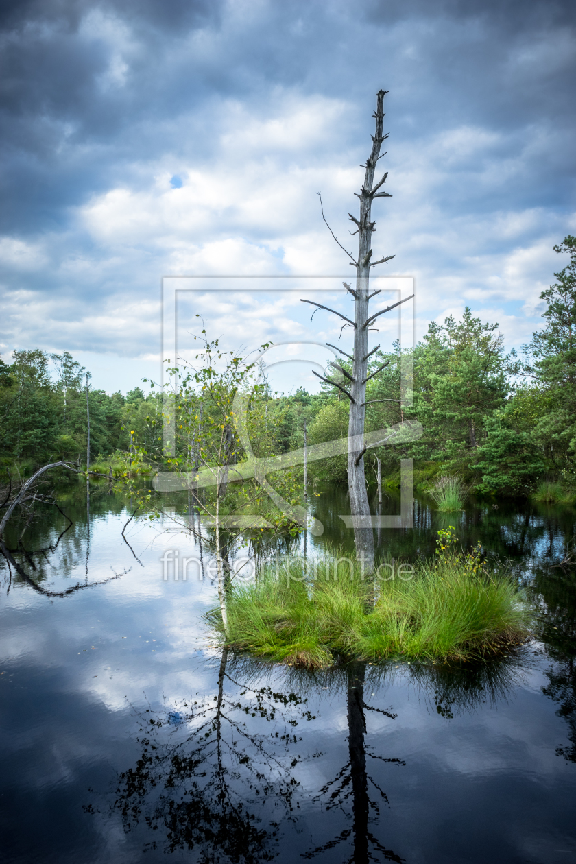 Bild-Nr.: 11927410 Der tote Baum Bild-Nr.: 11927410 Der tote Baum erstellt von SHphoto
