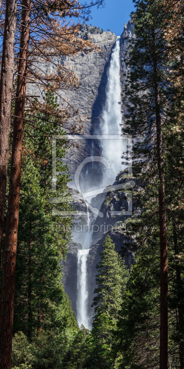 Bild-Nr.: 11927638 Upper and Lower Yosemite Falls erstellt von TomKli