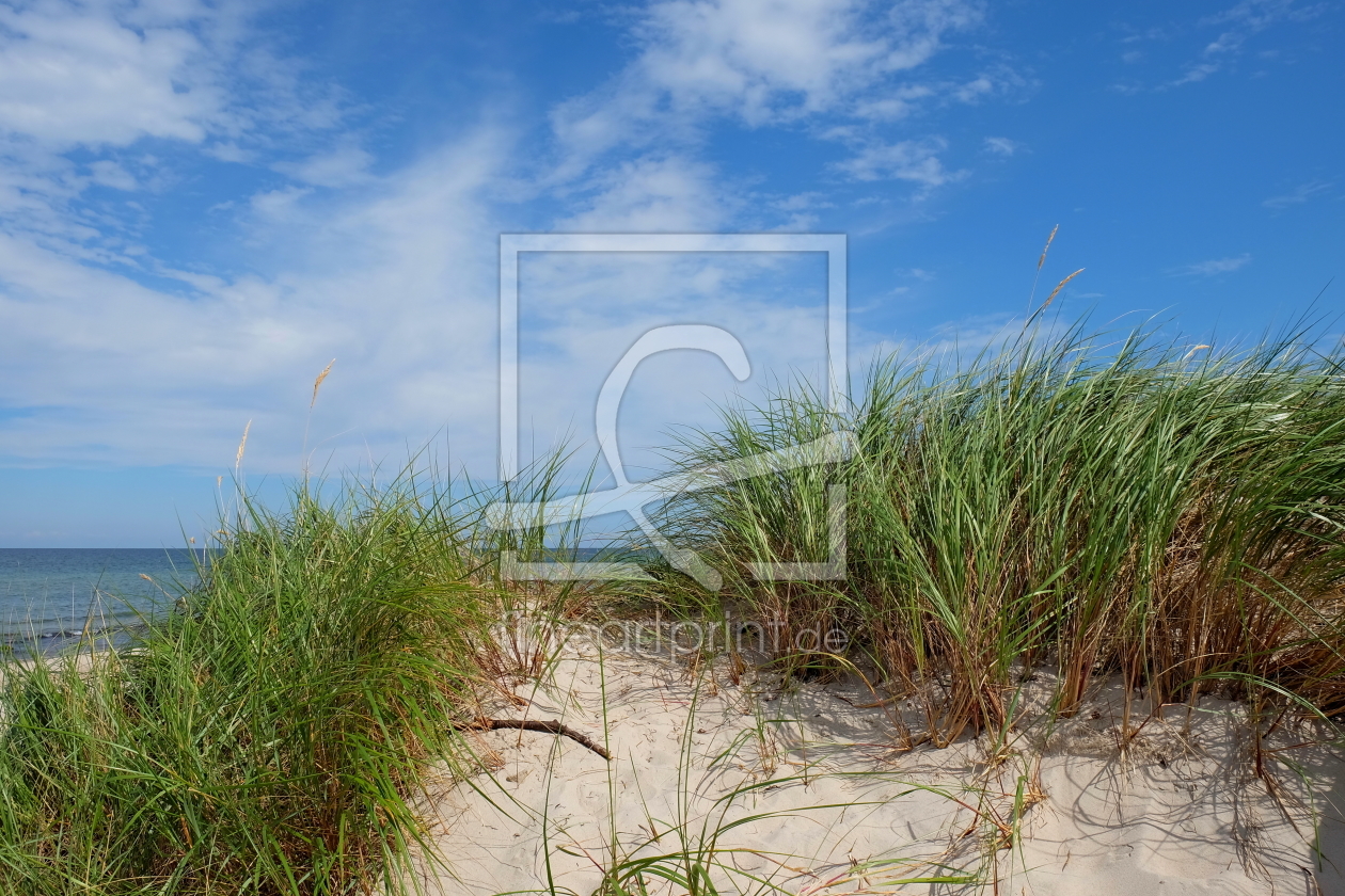 Bild-Nr.: 11928724 Sommerdünen erstellt von Ostseestrand