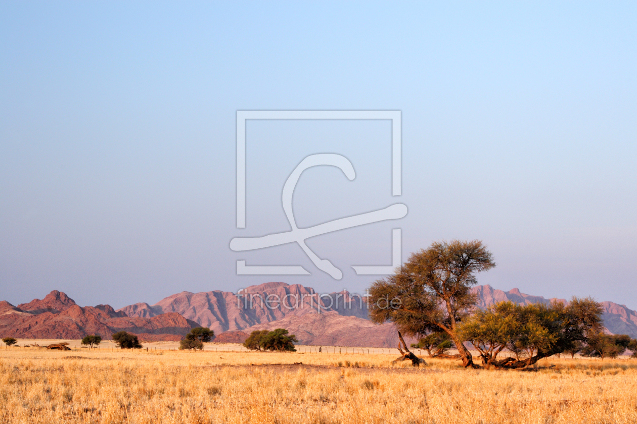 Bild-Nr.: 11930242 Wüstenlandschaft in Namibia erstellt von DirkR