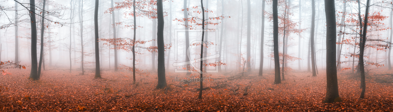 Bild-Nr.: 11931642 Herbstwald im Nebel erstellt von eyetronic