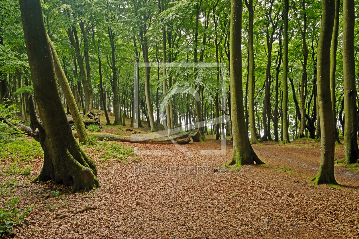 Bild-Nr.: 11932103 Abstieg zur Ostsee erstellt von Ostfriese