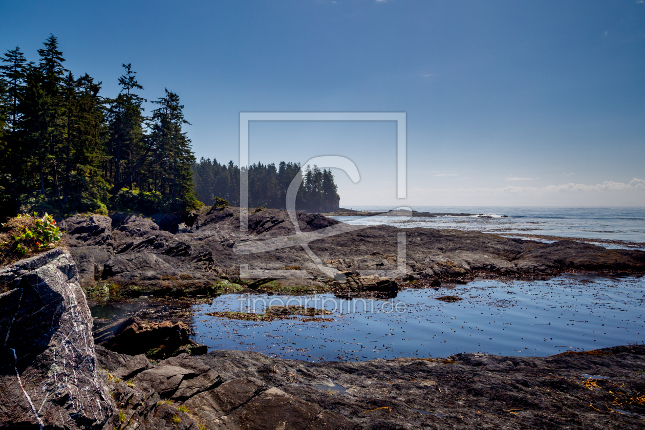 Bild-Nr.: 11932886 Botanical Beach erstellt von DirkR