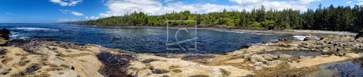 Bild-Nr.: 11933251 Botanical Beach erstellt von DirkR